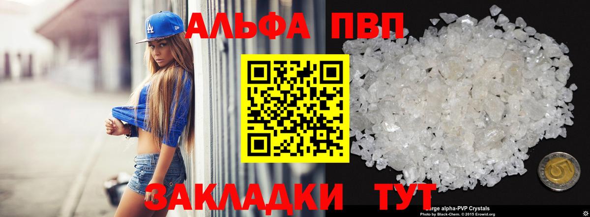 A PVP СК КРИС Санкт-Петербург