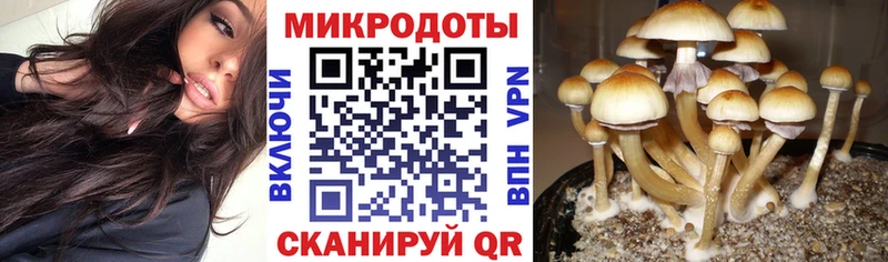 Галлюциногенные грибы мицелий  Санкт-Петербург 