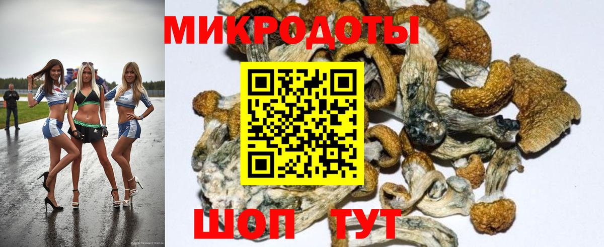 Галлюциногенные грибы GOLDEN TEACHER Санкт-Петербург