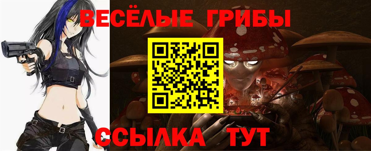 Псилоцибиновые грибы GOLDEN TEACHER  Псилоцибиновые грибы Cubensis  Вход с VPN  Санкт-Петербург 