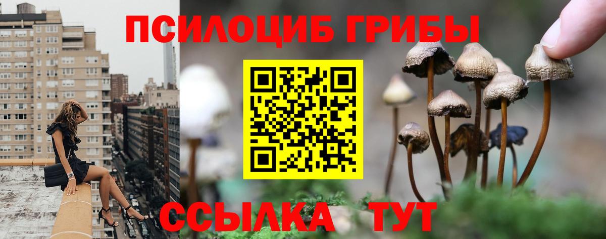 Галлюциногенные грибы прущие грибы  Галлюциногенные грибы ЛСД  Вход с VPN  Санкт-Петербург 