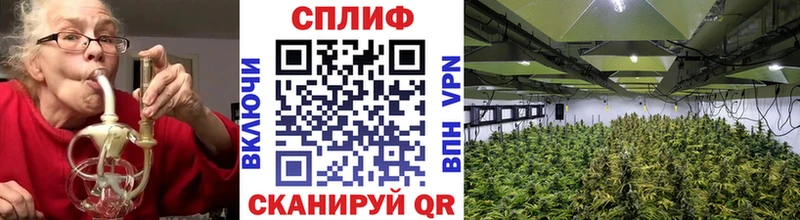 Конопля конопля  Санкт-Петербург 